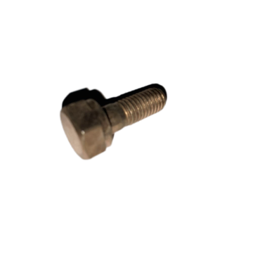 Engine Parts Cylinder Head Exhaust Port Screw